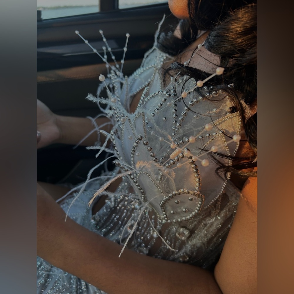 White and Silver prom dress. Pedals, beading and feathers. Only worn once!